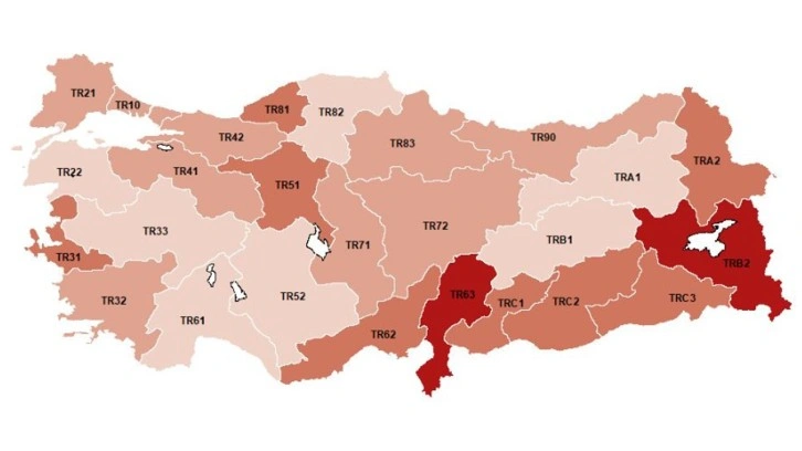 Türkiye'de işsizliğin en düşük olduğu 3 il