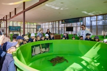 Interessante Schulbesuche im Meritta Sea Turtles Rehabilitation Center