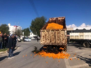 Narenciyeciler Hükümetten Çözüm İstiyor