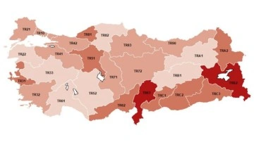 Türkiye'de işsizliğin en düşük olduğu 3 il